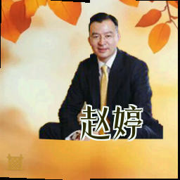 赵婷